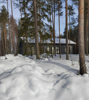 Norvalisma in Rovaniemi